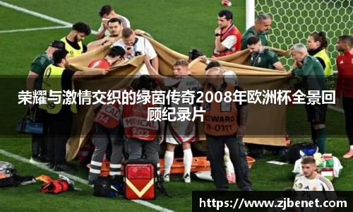 荣耀与激情交织的绿茵传奇2008年欧洲杯全景回顾纪录片